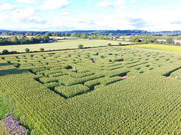 Southern Aerial Surveys Photography - Maize Maze, Dorset