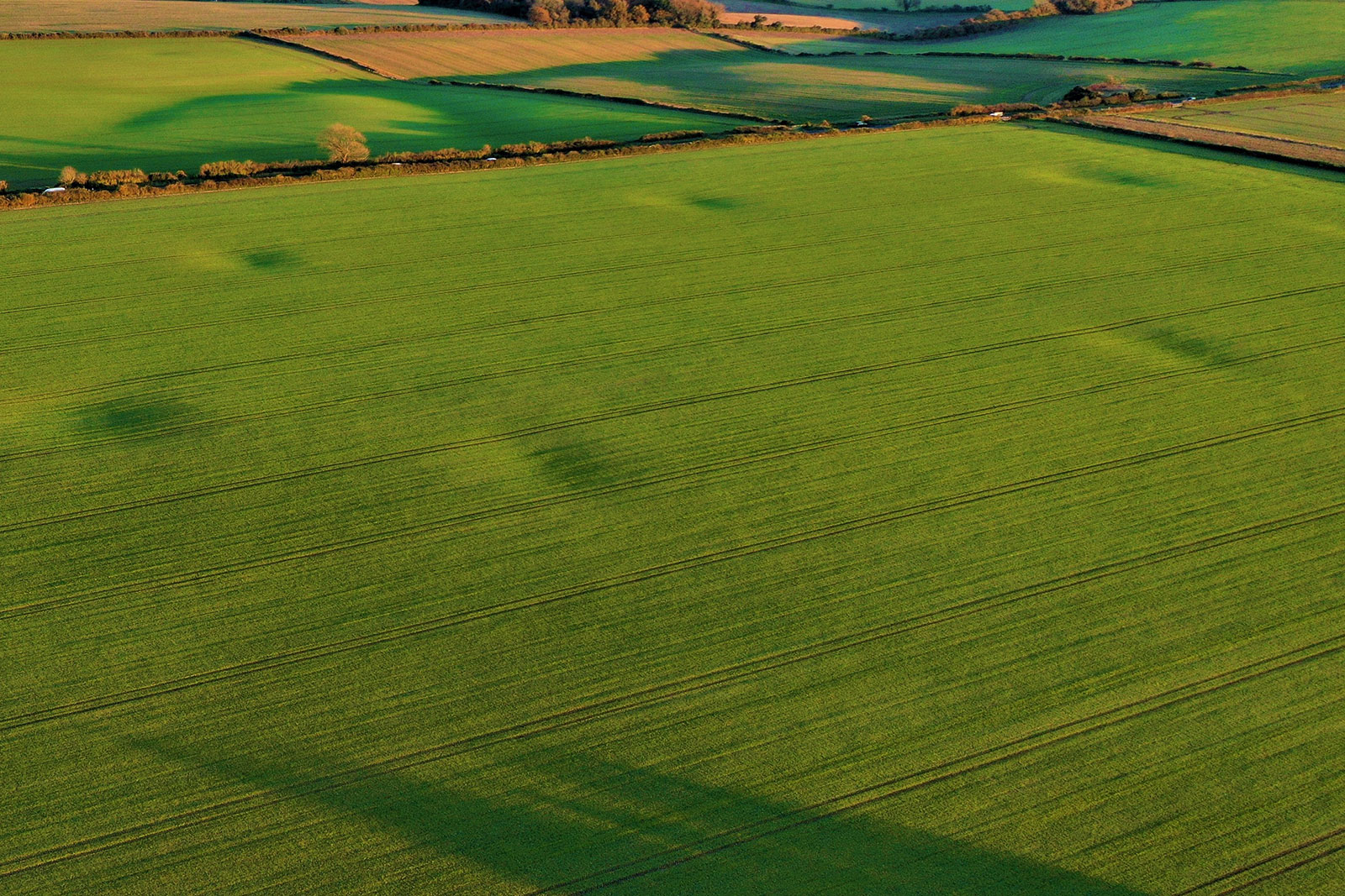 Southern Aerial Site Surveys - Archaeological Digs in Dorset, Hampshire and Wiltshire