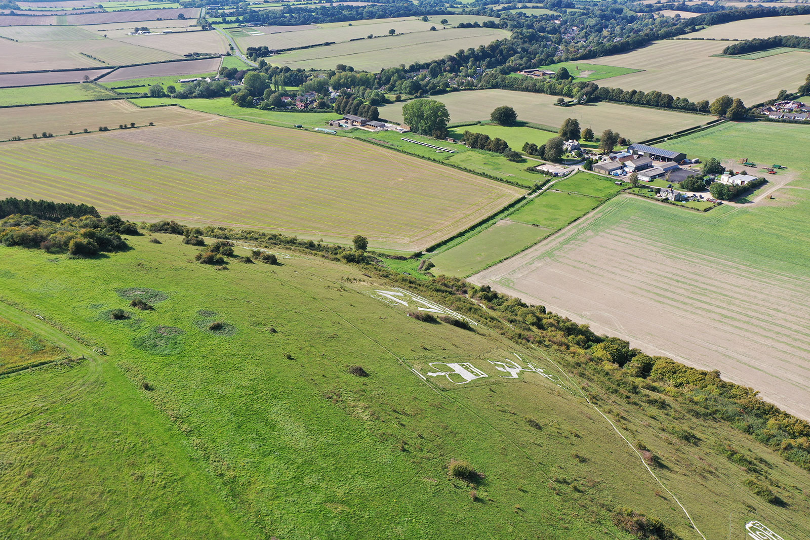 Southern Aerial Surveys - Aerial Land Check and Livestock Count in Dorset, Hampshire and Wiltshire